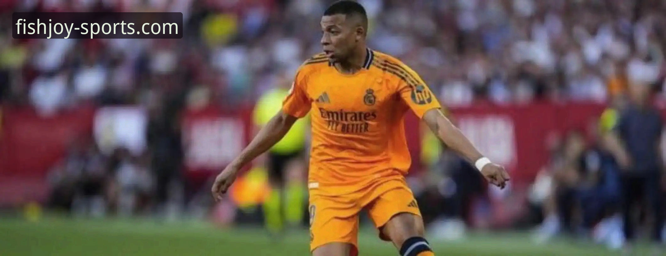 揭秘意大利足球的十年迷失：从世界杯冠军到连续三届无缘的背后真相